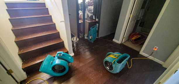 Best Odor Removal and Sanitization After Water Damage in Snyder, OK